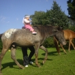 Jumbo Dinio s Adlkou...