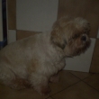 Carmen ��man Mon-Lang 9 let